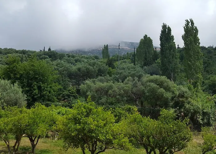 Residenca Juli Vlorë