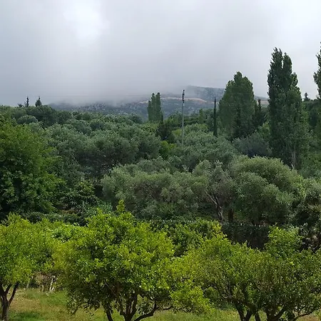 Residenca Juli Vlora